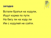 Презентация к занятию биологического кружка День журавля