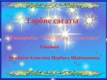 Презентации:Тәуелсіздік - ел тұғыры