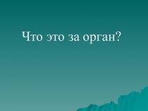 Презентация к уроку Покровы тела строение и функции кожи