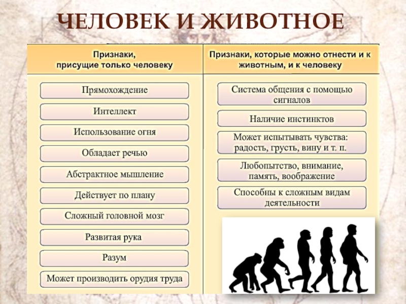 Как уроки обществознания помогают человеку