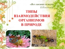 Типы взаимодействий организмов в природе