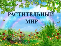 Развивающие задания по развитию устной речи по теме: Растения