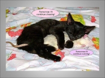 Презентация по английскому языку на тему Смешной английский (8 класс)