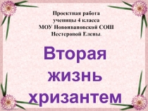 Презентация к проекту Вторая жизнь хризантемы.