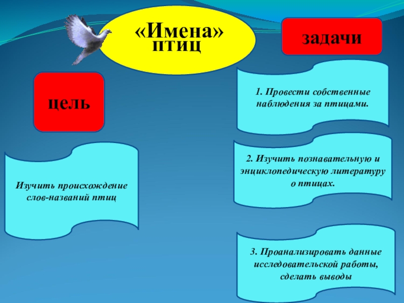 Имена для птиц. Клички для птиц. Имена птиц. Имена для птичек. Прозвища птиц.