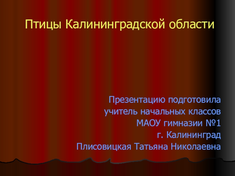 Птицы калининградской области фото