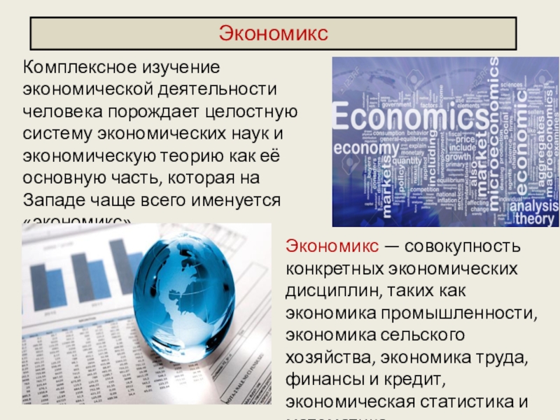 Комплексное изучение экономической деятельности человека порождает целостную систему экономических наук и экономическую теорию как её основную часть,