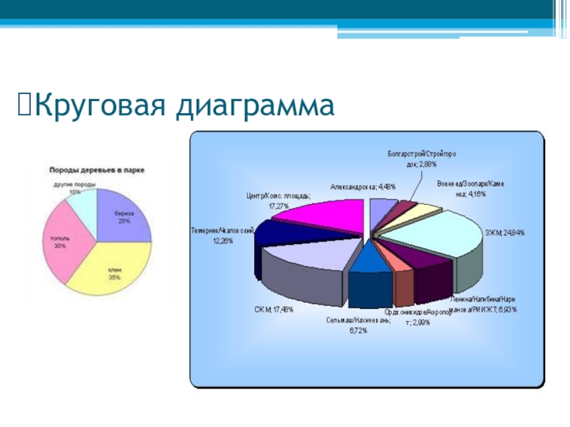 Создайте круговую диаграмму доля пород деревьев в общей площади лесов россии