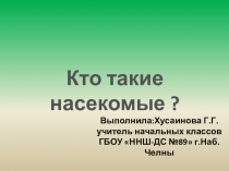 Презентация по окружающему миру на тему  Кто такие насекомые?