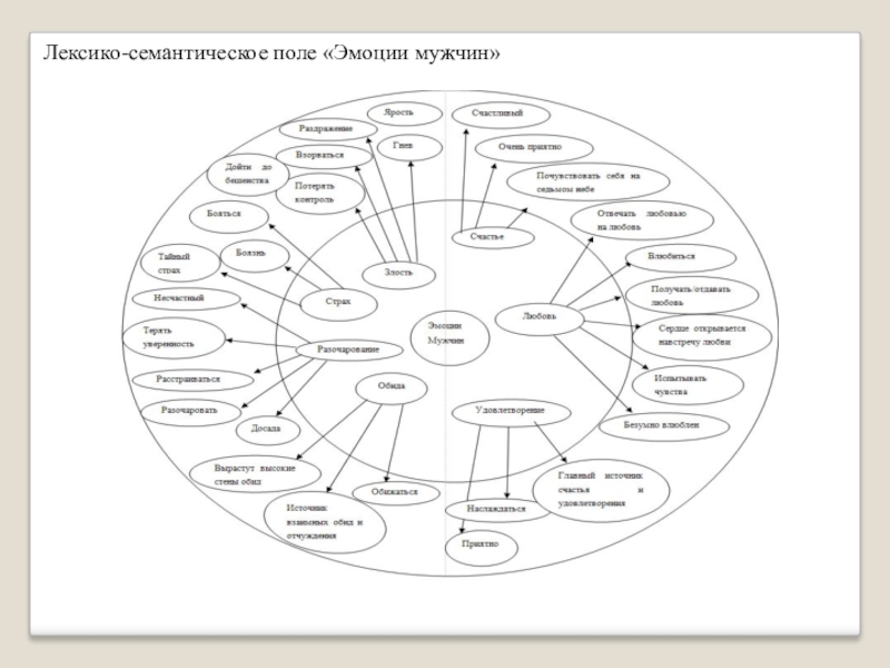 Картинки семантические поля