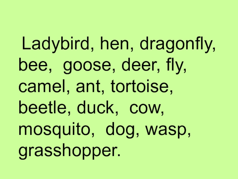 Ladybird, hen, dragonfly, bee, goose, deer, fly, camel, ant, tortoise, beetle, duck, cow, mosquito, dog, wasp,