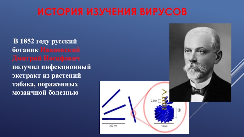 История изучения вирусов. История исследований вирусов презентация.