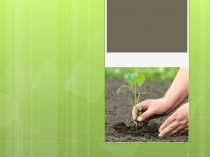 Презентация по английскому языку Environmental Protection