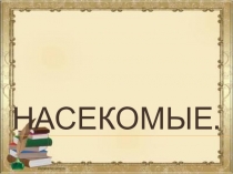 Презентация по экологии на темуНасекомые