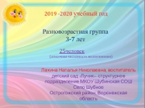 Презентация Развивающая предметно-пространственная среда