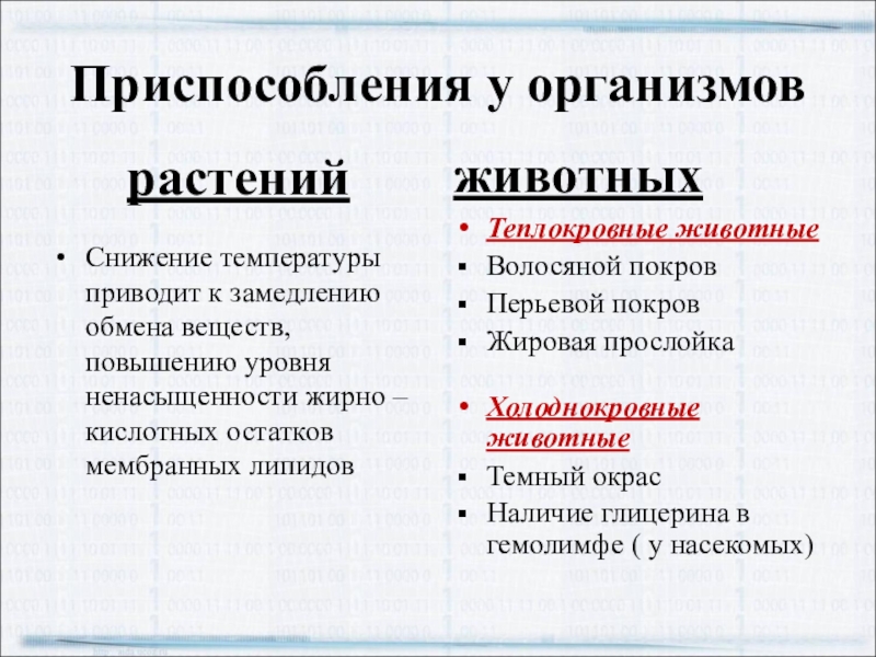 Какие преимущества дает организму теплокровность. Приспособления холоднокровных животных. Приспособления животных к низким температурам. Приспособления холоднокровных животных температура. Приспособления животных к колебаниям температуры.