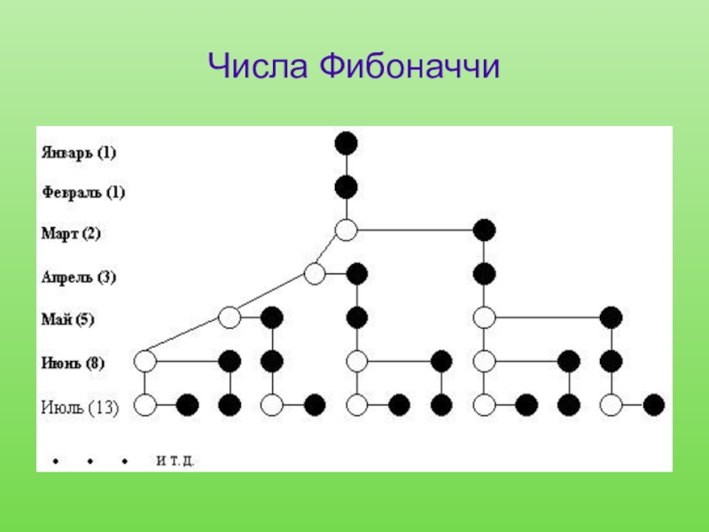 1 числа фибоначчи. Ряд Фибоначчи кролики. Задачи на ряд Фибоначчи. Задачи на числа Фибоначчи. Числовая Гармония Фибоначчи.