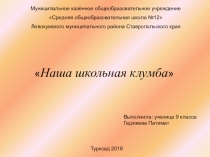 Презентация по технологии на тему НАША ШКОЛЬНАЯ КЛУМБА  ( проект)