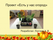 Проект мини-огород на окне в старшей группе