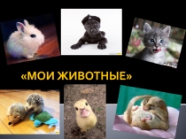 Презентация по музыке, к открытому уроку Мои животные