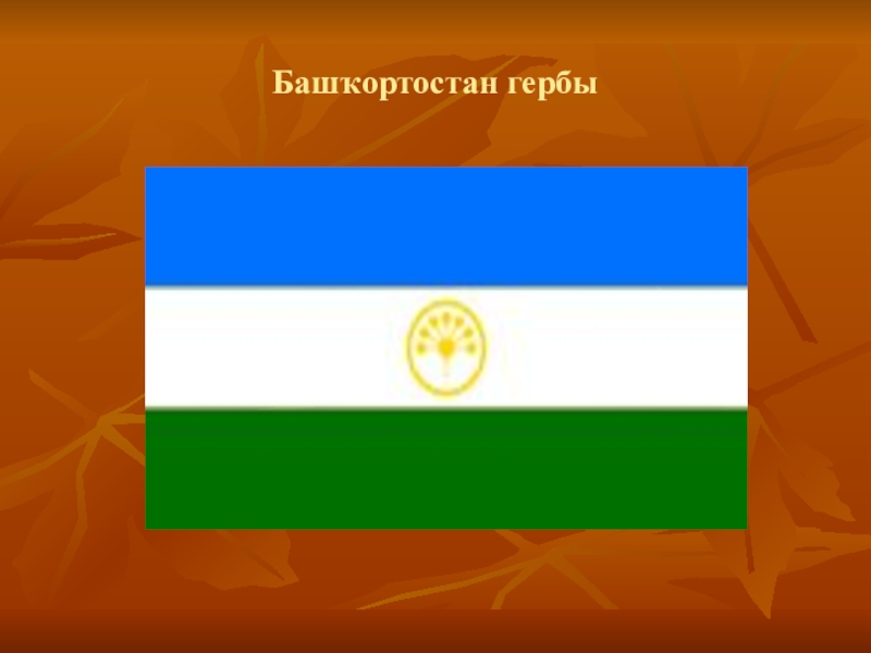 Флаг республики башкортостан. Символика России и Башкортостана. Флаг башкирского языка. Башкирский флаг для детей. Башҡортостан герб.