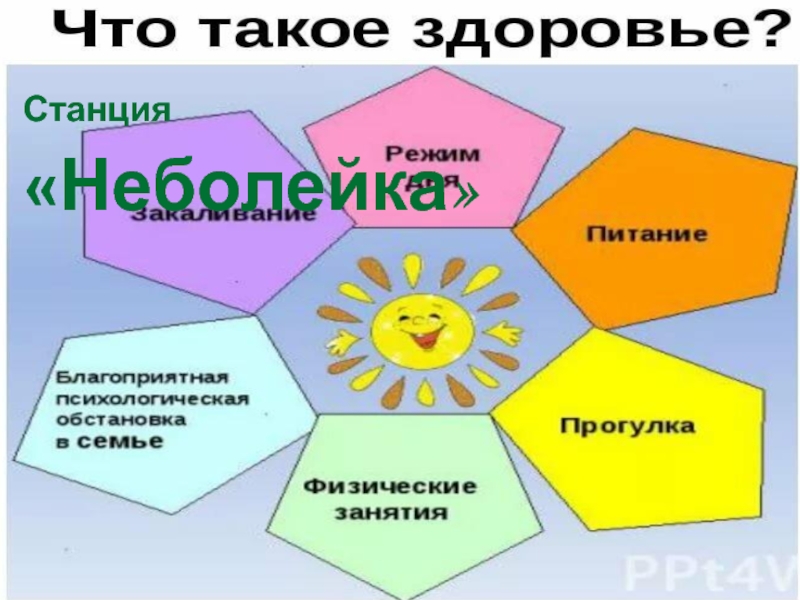 Неболейка картинки для детей