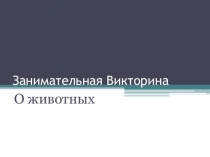 Презентация Занимательная викторина о животных