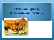 Домашние животные