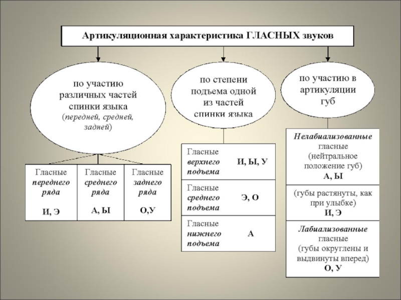 Признаки гласных. Артикуляционная классификация гласных. Артикуляционная характеристика гласных звуков. Артикуляционные признаки гласных звуков. Артикуляционная характеристика звуков речи.