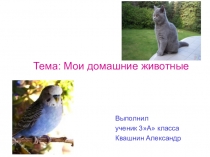 Презентация к проекту Мои питомцы