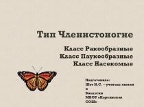 Презентация по биологии на тему Членистоногие