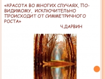 Проек на тему: Симметрия в нашей жизни.