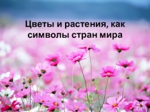 Презентация по предмету: Искусство на тему Символы цветов разных стран (8 класс)