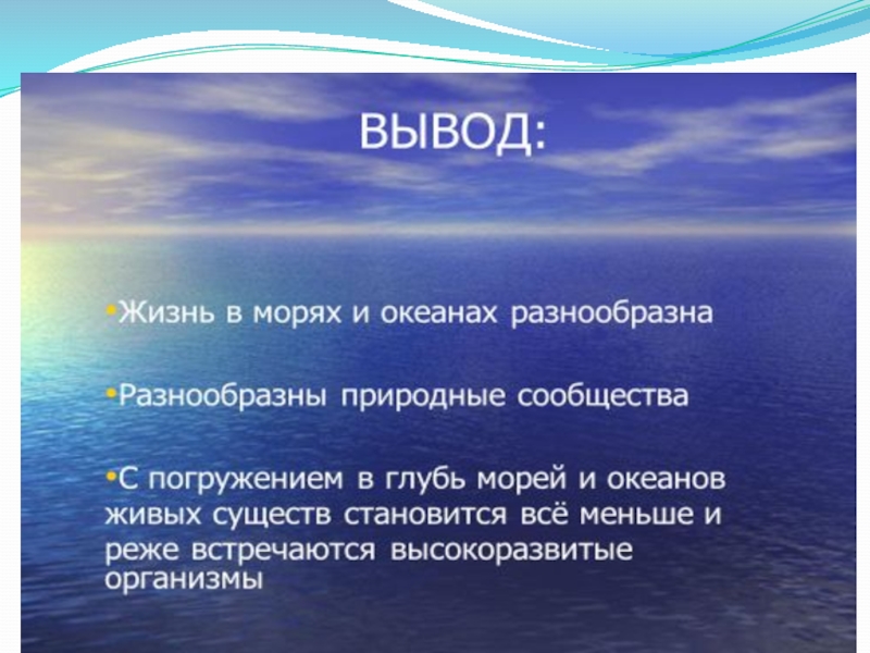 Особенности жизни в океане 6 класс география презентация