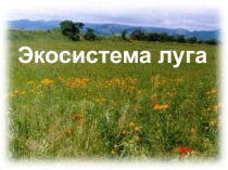 Презентация по окружающему миру Экосистема луга (3 класс)