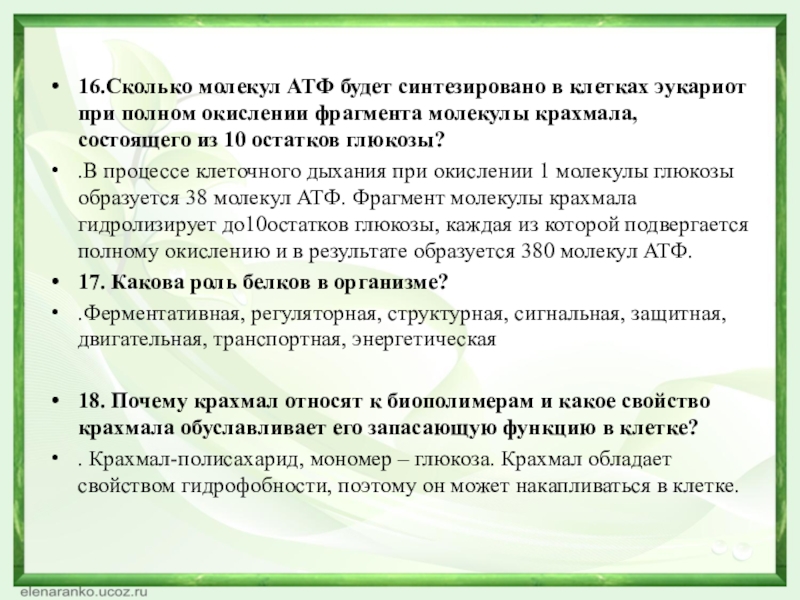 16.Сколько молекул АТФ будет синтезировано в клетках эукариот при полном окислении фрагмента молекулы крахмала, состоящего из 10