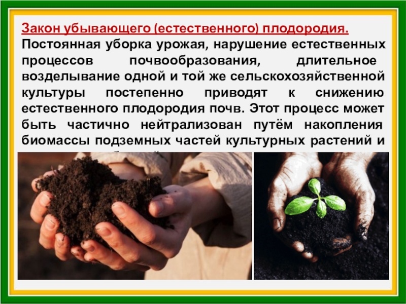 Плодородие зависит от содержания. Закон убывания естественного плодородия. Закон убывающего плодородия почвы. Естественное плодородие почвы. Убывающее плодородие почвы.