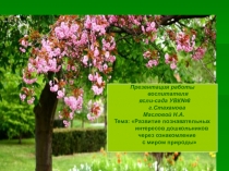 Презентация по теме Развитие познавательных интересов дошкольников через ознакомление с миром природы