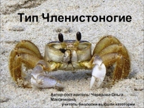 Презентация по биологии на тему Тип Членистоногие (7 класс)