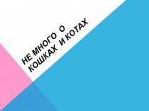 Презентация Немного о кошках и котах