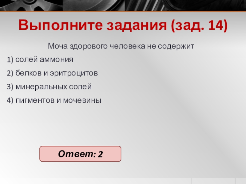 Выполните задания (зад. 14)Моча здо­ро­во­го че­ло­ве­ка не со­дер­жит 1) солей ам­мо­ния2) бел­ков и эрит­ро­ци­тов3) ми­не­раль­ных солей4) пиг­мен­тов и