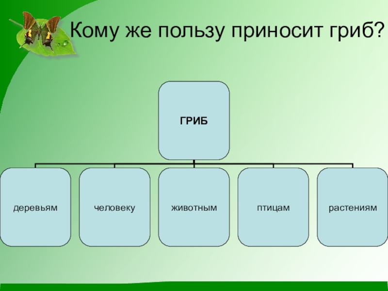 Пришвин сыроежка план