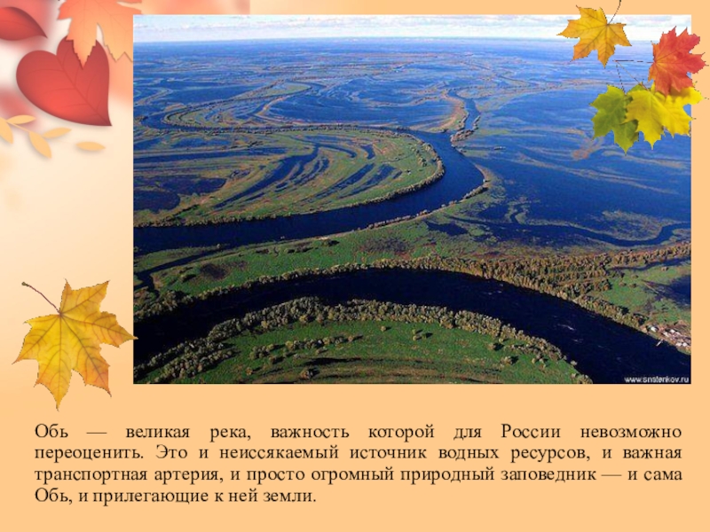 Уровень оби обь. Великие реки России Обь. Водные богатства Оби. Обь Великая река аннотация. Обь Великая река анотация.