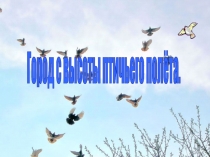 Презентация по окружающему миру Птицы