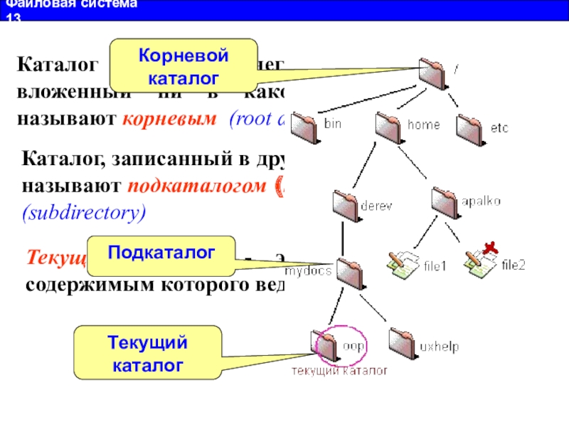 Подкаталог файла. Каталог (файловая система). Каталог и подкаталог. Каталог подкаталог Информатика. Что такое каталог, текущий каталог, подкаталог?.