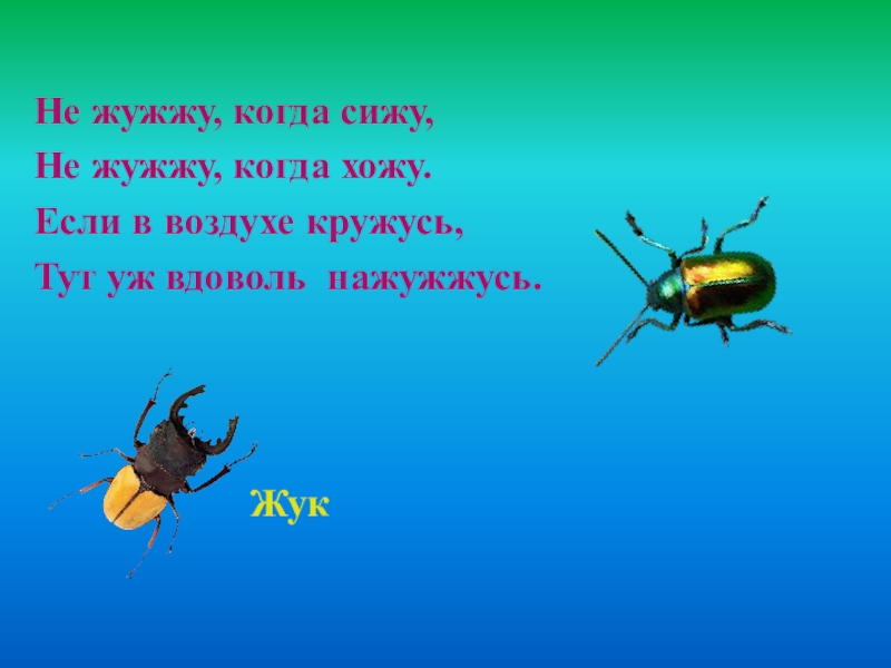 Не жужжу когда сижу. Жужжу. Жук жужжит. Не жужжу когда. Жужжу жужжу жужжу жужжу жужжу.