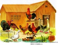 Презентация для детей младшего и среднего дошкольного возраста На птичьем дворе