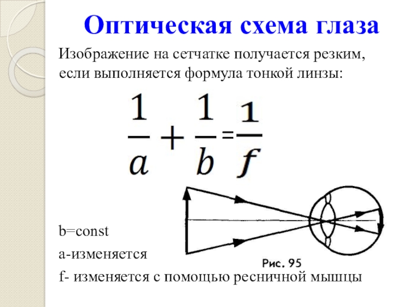 Оптическая линза физика 8 класс