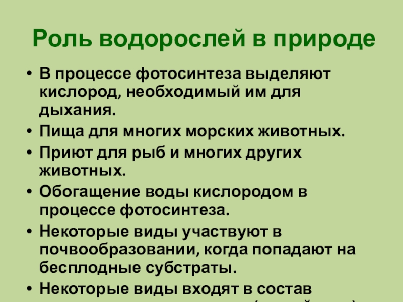 Значения водорослей в природе и жизни человека. Роль водорослей в природе. Значение водорослей в природе. Роль водорослей в жизни человека. Экологическая роль водорослей.