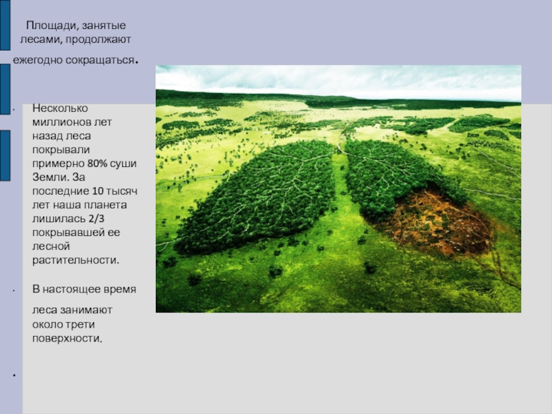Земля занята 3. Площадь лесов. Площадь лесов в России. Площадь лесов на планете. Сокращение лесов на планете.